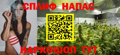 винт Будённовск