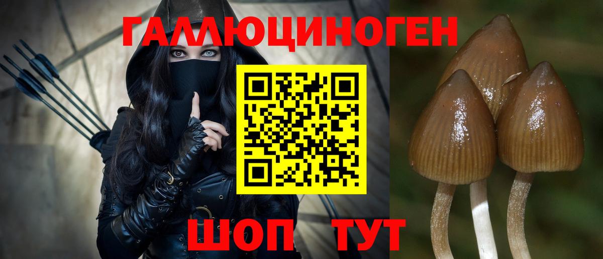 Псилоцибиновые грибы ЛСД  что такое   Саки  Псилоцибиновые грибы MAGIC MUSHROOMS  Вход с VPN 