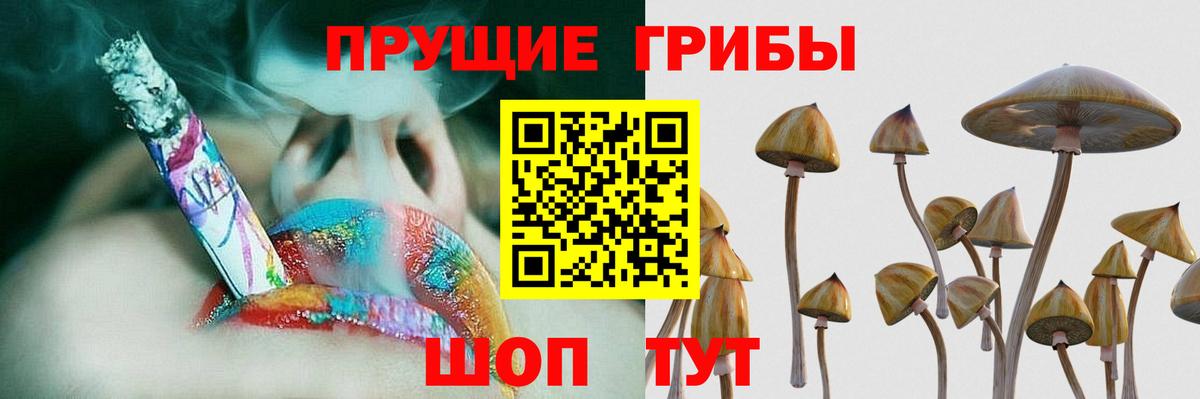 Псилоцибиновые грибы Psilocybe Саки